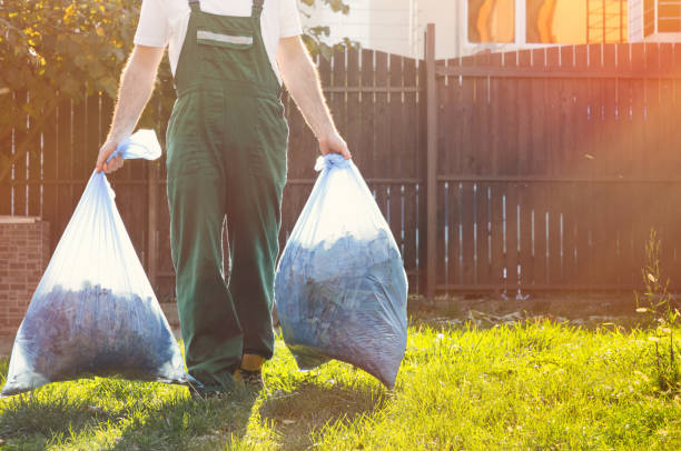 Best Electronics Removal Services  in Wesley Chapel, NC
