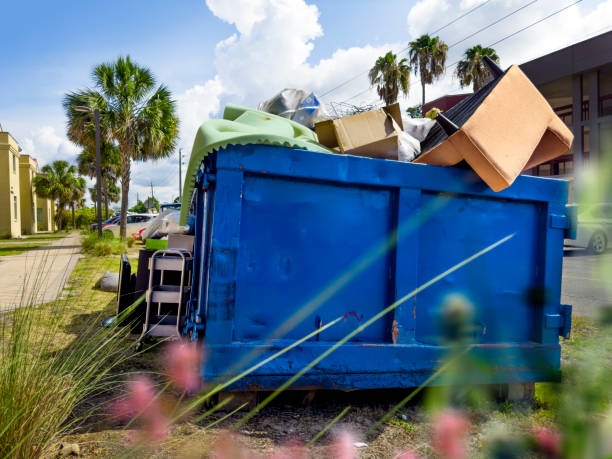 Attic Cleanout Services in Wesley Chapel, NC
